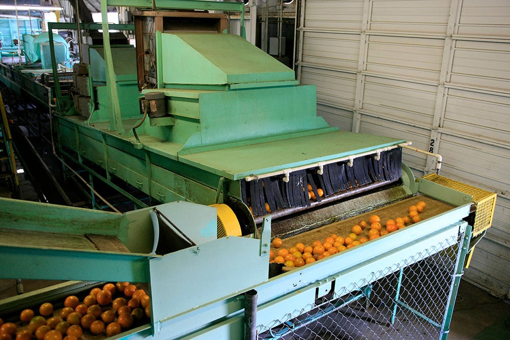 washing and sorting machines