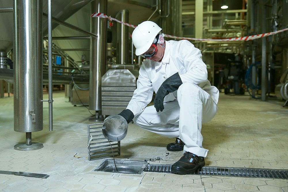 factory worker in personal protective equipment inspecting floor drain in the food manufacturing facility