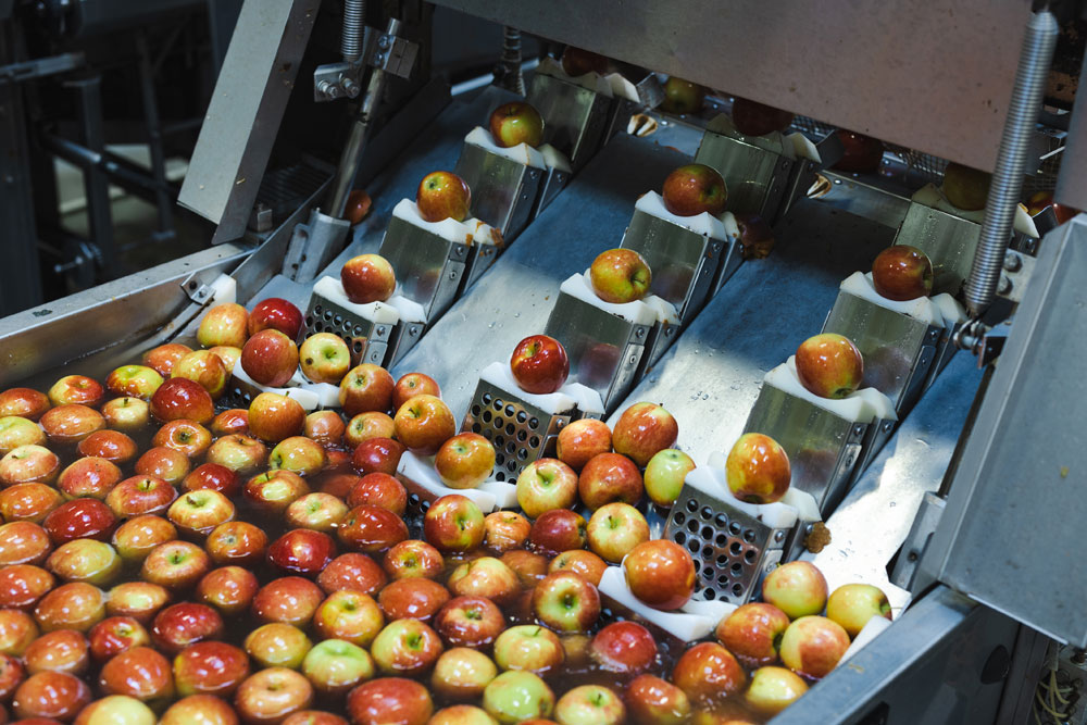 Fruit and vegetable deals processing