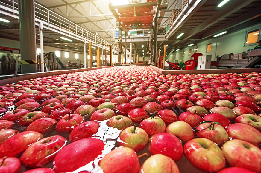 washing all produce