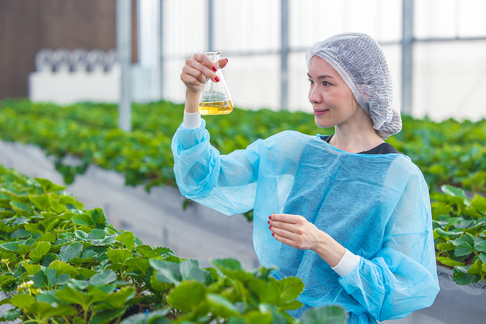 Using Controlled Environment Agriculture to Improve Farming