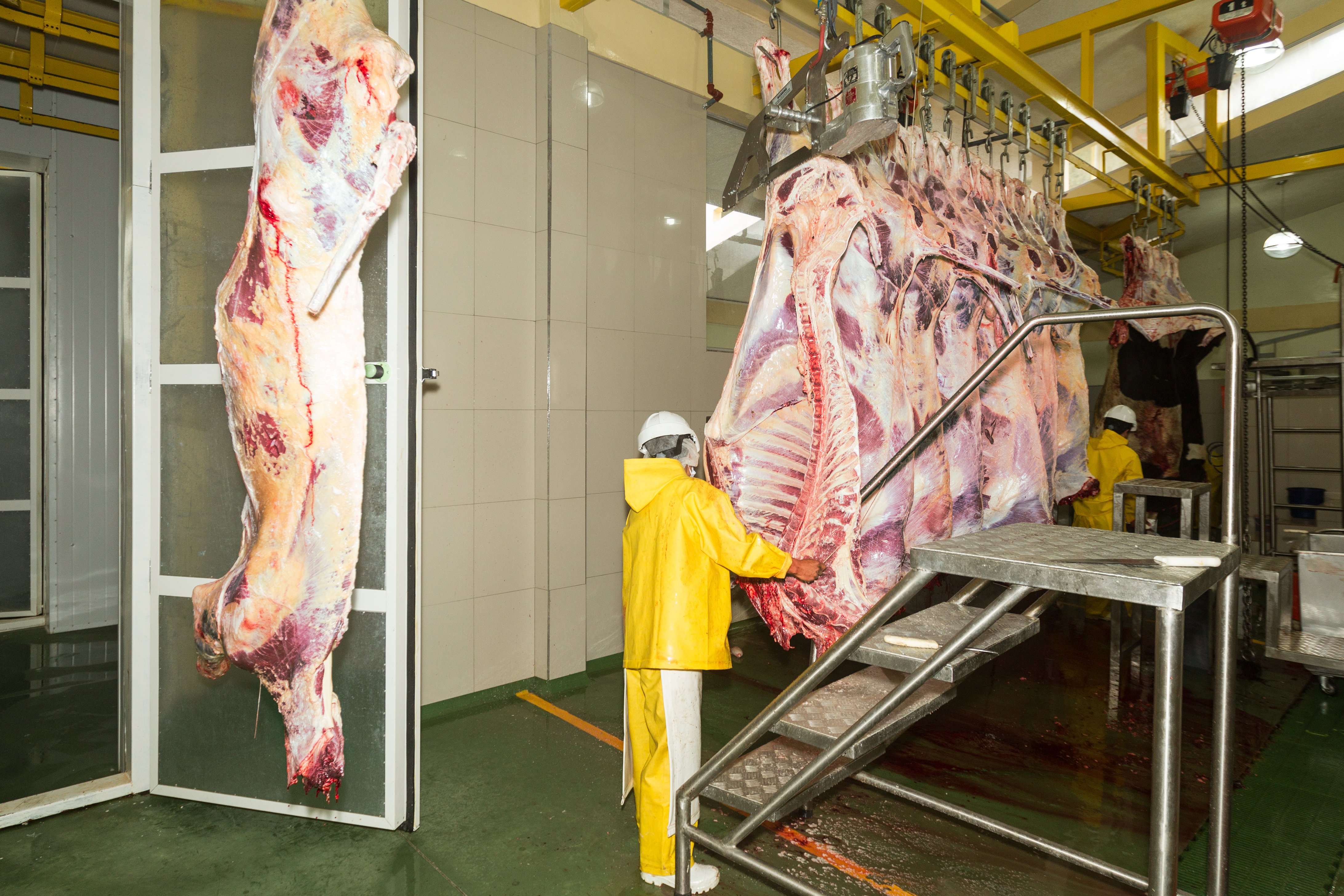 The Importance Of Meat Processing Floor Drains