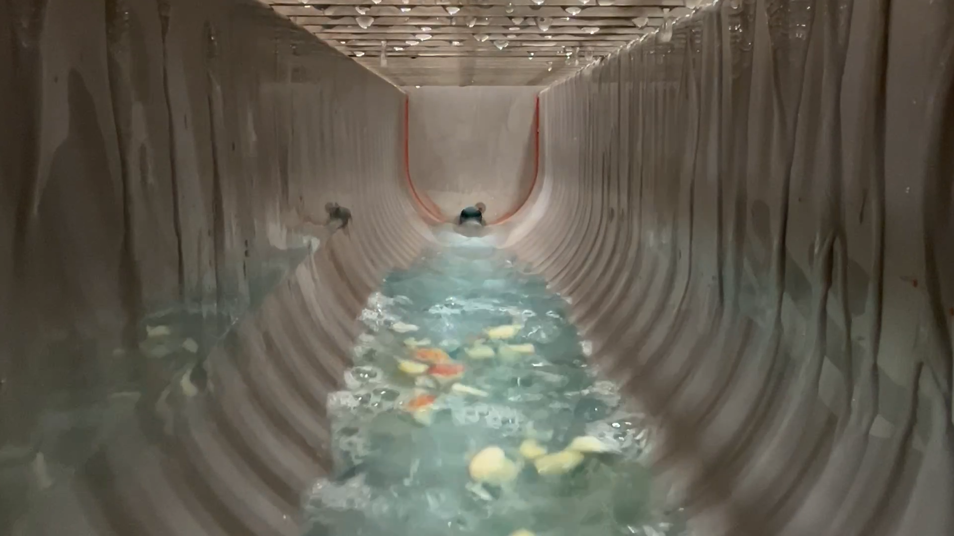 Trench Drain interior with liquid and solids